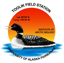 Toolik Logo