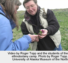 MP4 video of plant collecting on St. Paul Island from ADA