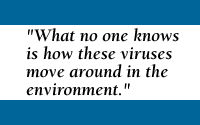 Quote: What no one knows is how these viruses move around in the environment.