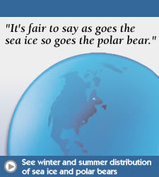 Polar bear button for maps