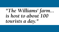 QUOTE: The Williams' farm is host to about 100 tourists a day
