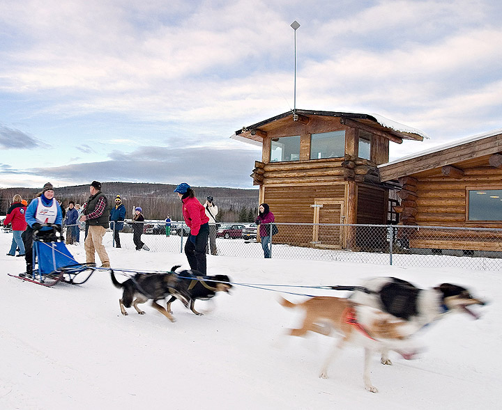 Andrea Swingley's four-dog team