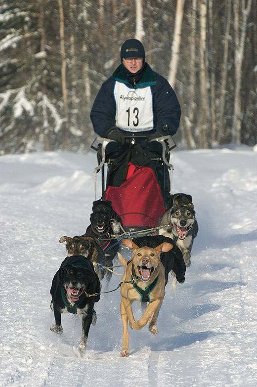 Jeff Conn's 10-dog team