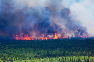 UAF photo by Todd Paris. A controlled burn designed to allow researchers a better understanding of wildfire behavior works its way through a 250-acre plot in the Tanana Valley State Forest about 35 miles southwest of Fairbanks.
