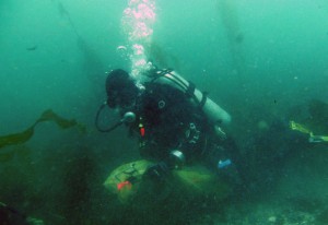 Photo by Jason McDaniel. UAF undergraduate student Eric Wood collects samples at the seafloor in Kachemak Bay.