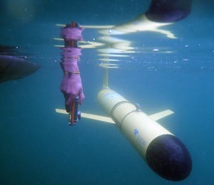 Photo courtesy of Hank Statscewich. A scientist takes an underwater photo of one of the underwater gliders.