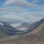 Photo by Joel Barker, courtesy of Ohio State University.. Ellesmere Island National Park in Canada. Ohio State University researchers and their colleagues have discovered the remains of a mummified forest that lived on the island 2 to 8 million years ago, when the Arctic was cooling.