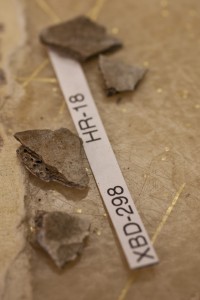 Photo by Maureen McCombs, University of Alaska Fairbanks. Fragments like these are among the remains discovered at the Upward Sun River site in Alaska.