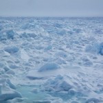 Photo by Ned Rozell..  Sea ice north of Barrow.