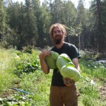 Photo courtesy Feedback Farm.Theo DeLaca harvests cabbages at Feedback Farm.