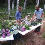 Photo courtesy Feedback Farm. Allison Wylde and Theo DeLaca prepare crops for distribution to their CSA members.