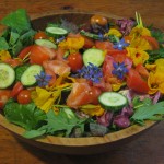 Photo courtesy Feedback Farm..  This beautiful salad was prepared by DeLaca and Wylde for a friend's wedding party.