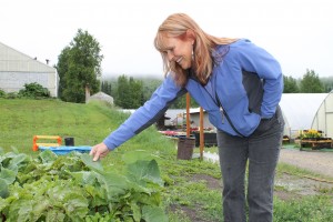 Helen McLean checks the collard plants.