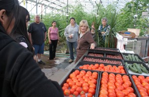 Photo by Jeff Fay. Meriam Karlsson provides a tour of the greenhouse and hydroponic system near Pike's Waterfront Lodge.