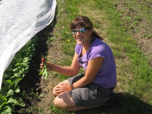 Photo courtesy of Pioneer Produce. Jennifer Becker pulls an early season radish from the ground at her farm.