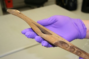 UAF photo by Theresa Bakker. The atlatl thrower received by the UA Museum of the North as part of the Birnirk collection represents prehistoric Eskimo culture dating back to 500 A.D., previously housed at the Harvard Peabody Museum. 