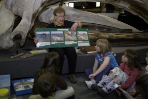 Photo by Patricia Fisher. Longtime docent Barb Gorman explains how fossils are made.