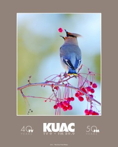 KUAC's 2012 poster