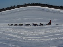 Jodi Bailey cruises through Galena on the Iditarod Trail as she is photographed by IAC's Yukon - Koyukuk Center Coordinator Larry Hausmann.