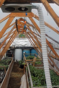 UAF photo by Nancy Tarnai. At Pingo Farm, Kurt Wold blows hot air under his plant beds in the greenhouse to keep the condensation down.