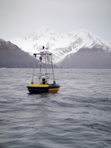 Photo by Jeremy Mathis. A monitoring buoy outside of Resurrection Bay in the Gulf of Alaska.