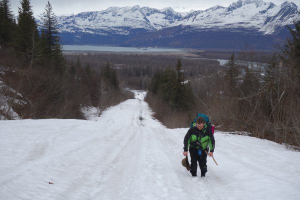 Photo by Ned Rozell.  Chris Carlson walks up a hill on the path of the trans-Alaska pipeline near Valdez.