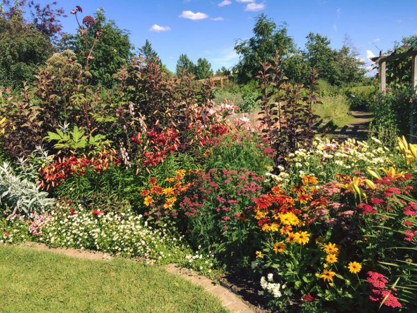 Photo courtesy of the Georgeson Garden Botanical Society.  The Georgeson Botanical Garden blooms in full summer color. The garden is located at the Fairbanks Experiment Farm.