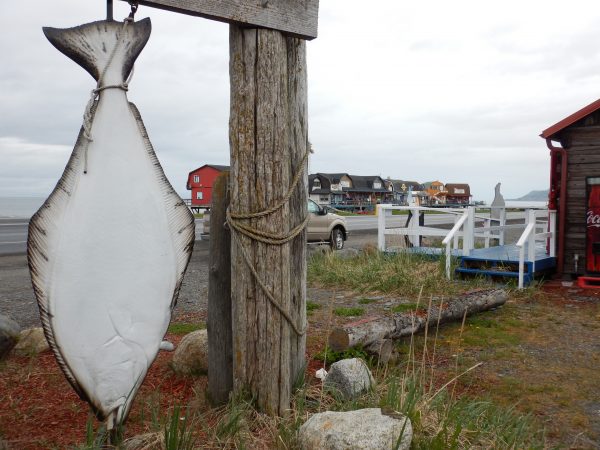 Photo by Anne Beaudreau. This halibut sculpture decorates the Homer Spit.