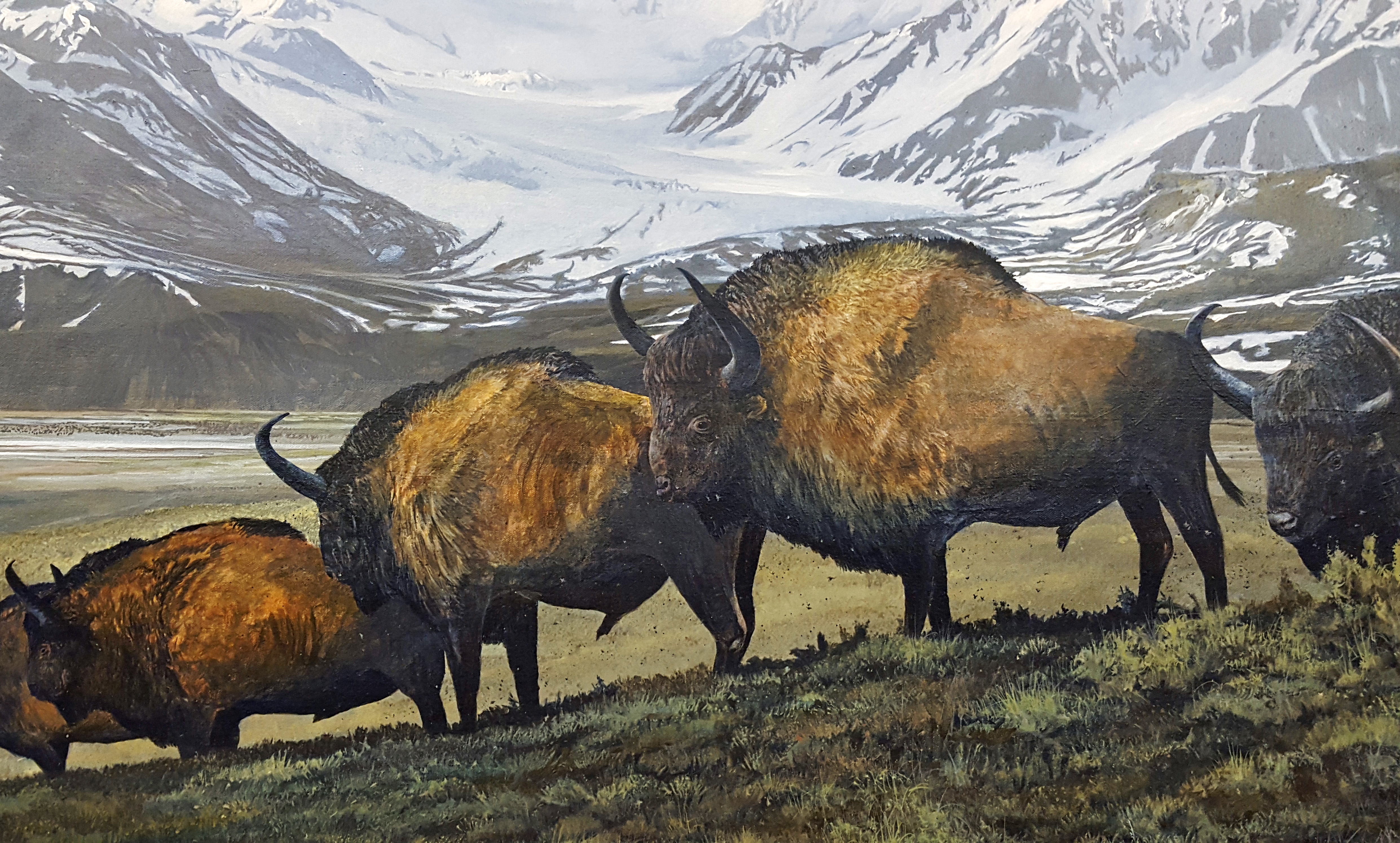 Photo by Theresa Bakker.  In this detail from a new painting exhibited at the UA Museum of the North, a herd of steppe bison gathers in a valley with a view of a glacier. The bison are the same species as Blue Babe, the famous specimen on display in the museum's Gallery of Alaska since 1980.