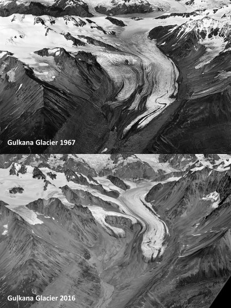 Photos courtesy of the U.S. Geological Survey..  Between 1967 (top photo) and 2016 (bottom photo), the Gulkana Glacier has lost a volume of ice equivalent to a layer of water more than 80 feet deep across its current area.