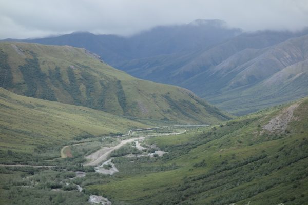 Photo by Ned Rozell.  The trans-Alaska oil pipeline winds through the northernmost forested valley on North America’s road system, at the base of Chandalar Shelf in the Brooks Range.