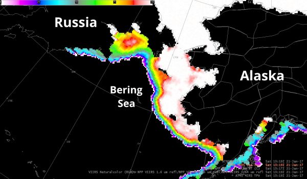 Image provided by Carl Dierking. This microwave image shows Russia, the Bering Sea and Alaska as photographed by the Suomi NPP Satellite on Jan. 21. The scale in the top left shows sea ice concentration in percent, with red and white showing the most ice and blue and purple showing the least.