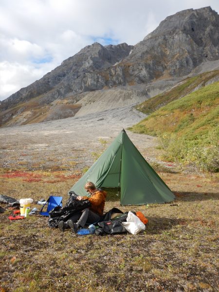Photo by Pat Druckenmiller.  Wrangell-St. Elias National Park geologist Mike Loso works at a base camp for a fossil search. Behind him rise the mountains where an ichthyosaur was rediscovered in August.