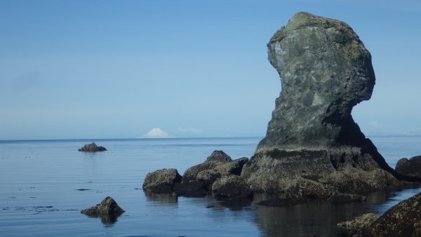 Photo by Brenda Konar.  Weathered rocks adorn the shore of Kachemak Bay on Alaska's Kenai Peninsula, with Augustine Volcano on the horizon.