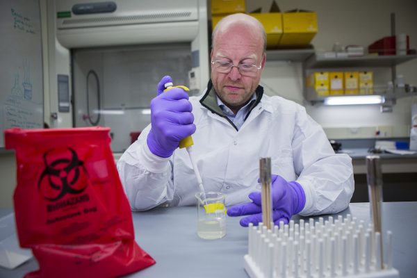 Photo by Meghan Murphy. . Dr. Karsten Hueffer, a University of Alaska Fairbanks researcher, said his experiments show how the rabies virus can induce significant changes in animal behavior that favors the transmission of the disease.