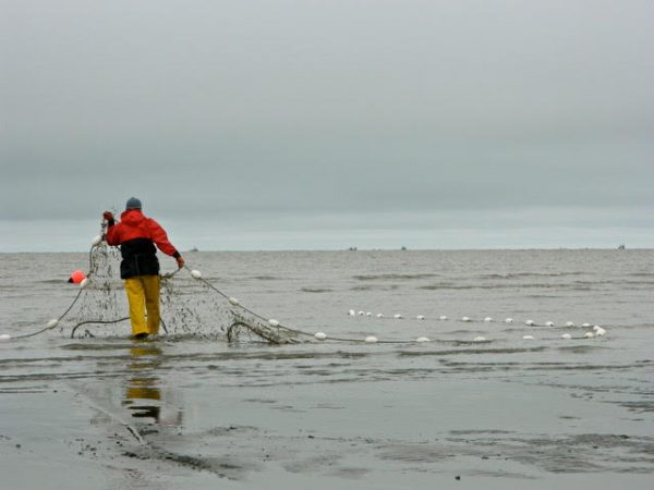 Photo courtesy of Alaska Marine Conservation Council.  A woman sets her net in Egegik, Alaska.