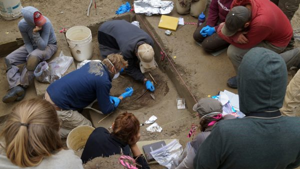Photo courtesy of Ben Potter. Members of an archaeology field team watch as researchers Ben Potter and Josh Reuther excavate at the Upward Sun River site. An analysis of human remains from the site indicates that early Interior Alaskans had a diverse, complex diet.
