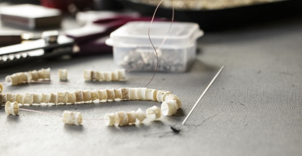 Photo by Stephanie Lambdin.  After being cleaned, bleached and sanded, Gibson strung the salmon vertebrae on lines for sewing.