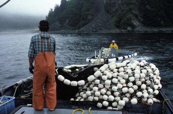 Photo by Deborah Mercy.  Fishermen purse seine in Prince William Sound. The Alaska Young Fishermen's Summit, held in early December, aims to develop a new generation in an aging industry.