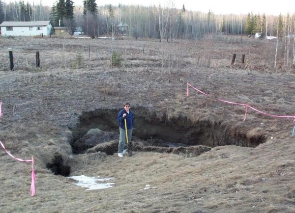 Photo courtesy of Vladimir Romanovsky. University of Alaska Fairbanks researcher Vladimir Romanovsky investigates a hole near Fairbanks where the underlying permafrost thawed. More such disruptions could occur if permafrost continues to warm across the North.