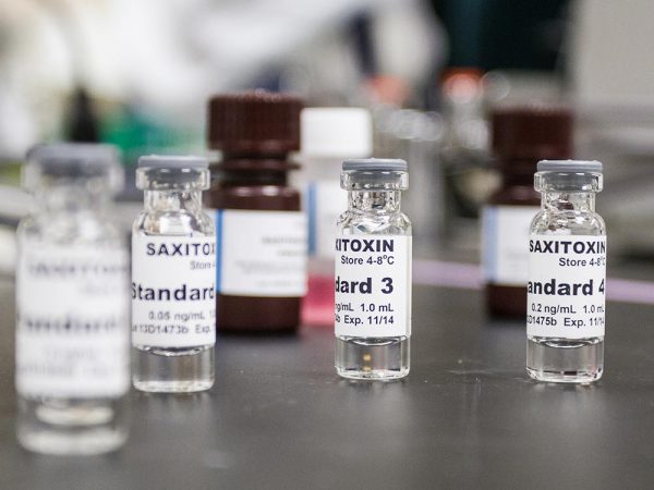 Alaska Sea Grant photo by Dave Partee. Vials of saxitoxin in a lab at the Kodiak Seafood and Marine Science Center.