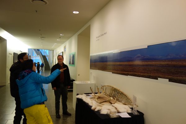 Photo by Ned Rozell. John Wright, center, stands next to his 1979 panoramic photo of the Porcupine caribou herd in the University of Alaska Museum of the North.