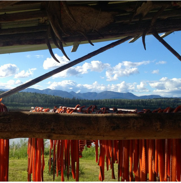 Photo by Brooke Wright.  Salmon dry on a rack before being moved to a smokehouse along the Yukon River near Rampart, Alaska.