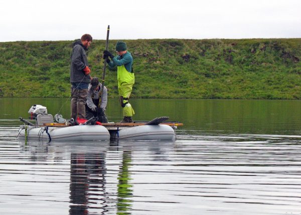 Photo courtesy of Nancy Bigelow. Researchers working with ecologist Nancy Bigelow pull a sediment core from a deep lake in western Alaska near Shishmaref, looking for pollen preserved from the days of the Bering land bridge.
