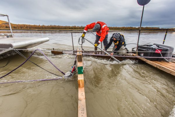 UAF photo. Jeremy Kasper, left, and Paul Duvoy, researchers with UAF's Alaska Center for Energy and Power, install testing components on a floating debris diverter designed to block floating logs and other debris from damaging a hydrokinetic generator attached to a barge behind it. The research is taking place on the Tanana River near Nenana.