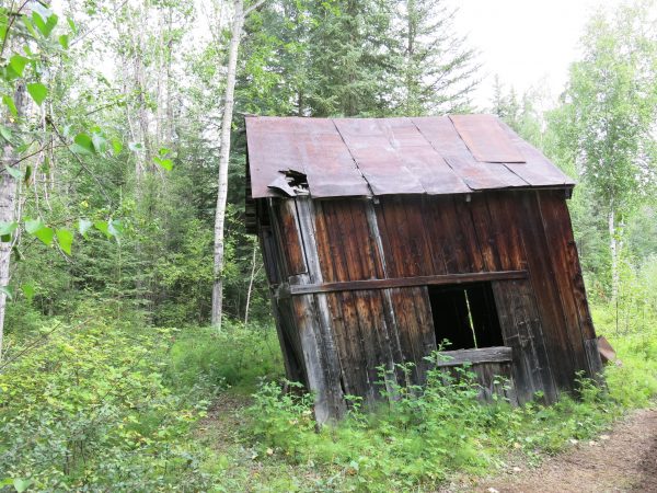 Photo by Ned Rozell. Buildings like this shed at the townsite of Fortymile in the Yukon don’t last forever. Water is the chief agent of destruction.
