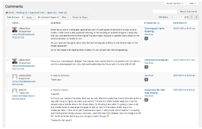 Screenshot of WordPress activity