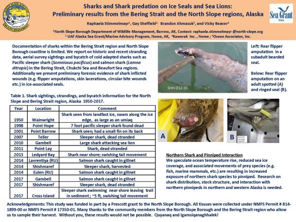 This scientific poster was presented in January at the 2018 Alaska Marine Science Symposium in Anchorage, Alaska.