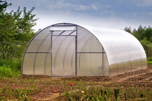Photo from iStock. High tunnels, such as this structure, are unheated greenhouses that can help extend the growing season.
