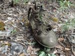 Photo by Ned Rozell. An old boot at the townsite of Franklin, Alaska, which was alive with people from 1887 to 1948.